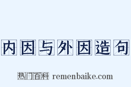内因与外因造句是什么意思的图片
